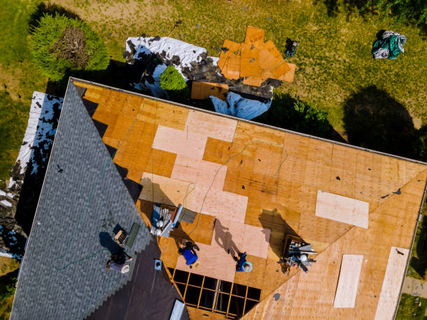 Best Storm Damage Roof Repair  in Strasburg, VA